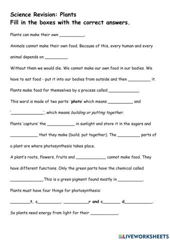 Science Revision: Plants