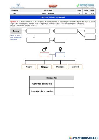 Ejercicio 3 - Leyes de Mendel