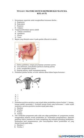 Remedial ph 1