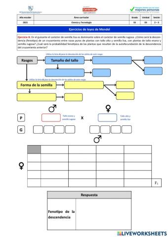 Ejercicio 8 - Leyes de Mendel