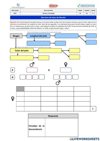 Ejercicio 10 - leyes de Mendel