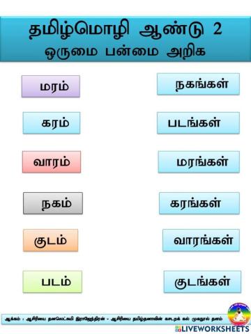 ஒருமை பன்மை