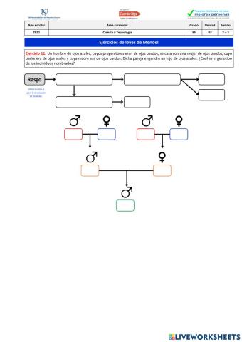 Ejercicio 11 - Leyes de Mendel