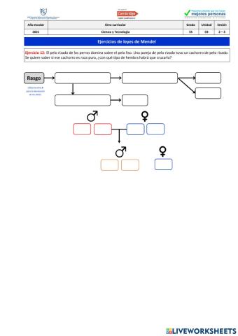 Ejercicio 12 - Leyes de Mendel