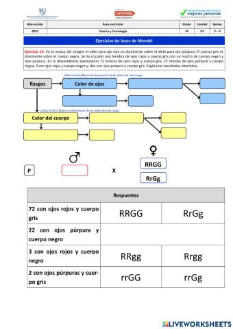 Ejercicio 13 - Leyes de Mendel