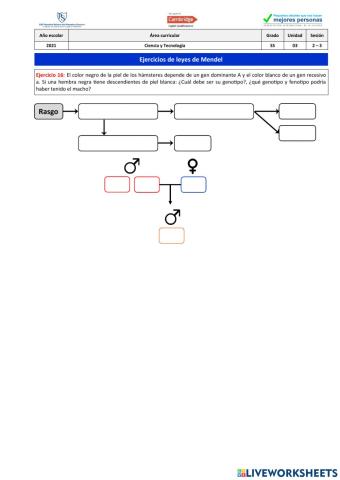 Ejercicio 16 - Leyes de Mendel