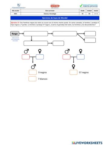 Ejercicio 17 - Leyes de Mendel