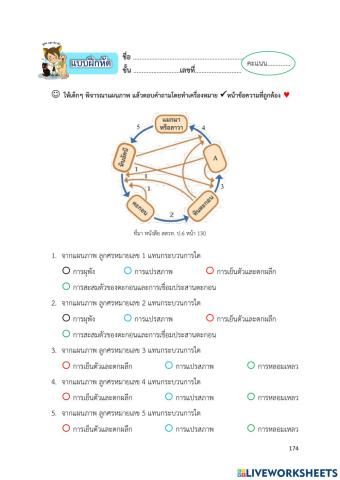 หิน 8