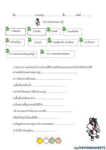 ใบงานทบทวนความรู้