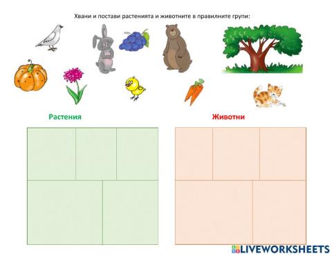 Хвани и постави