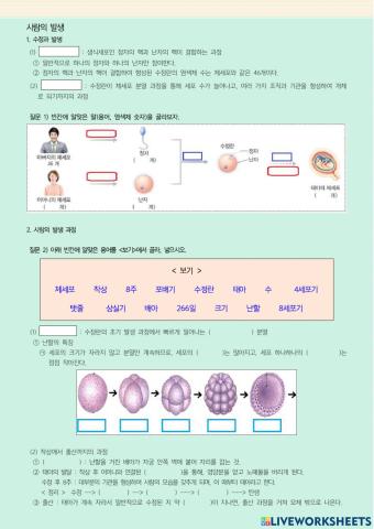 사람의 발생