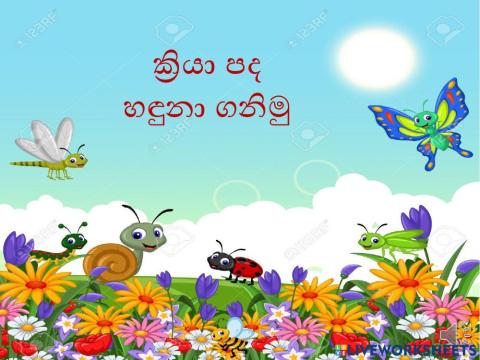 ක්‍රියා පද හඳුනා  ගනිමු