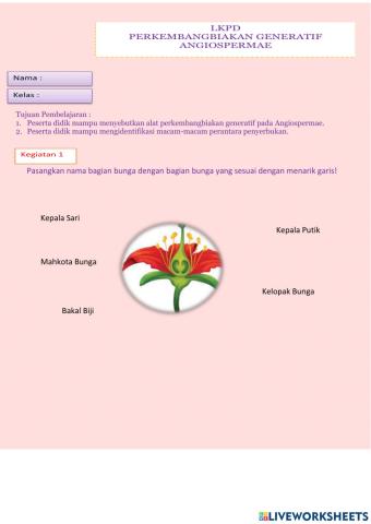 Perkembangbiakan Generatif Angiospermae