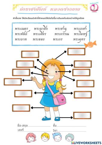 คำราชาศัพท์ หมวดร่างกาย