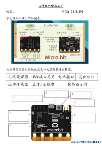 五年级设计与工艺