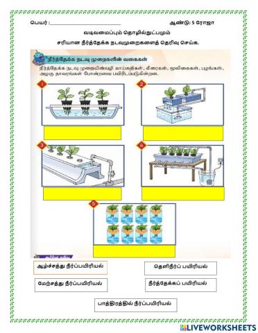 நீர்ப்பயிரியல் வகைகள்