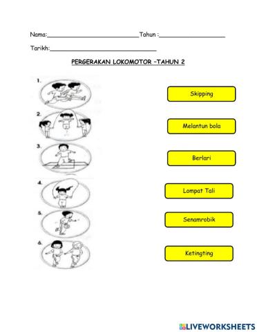 Pergerakan lokomotor-thnn2