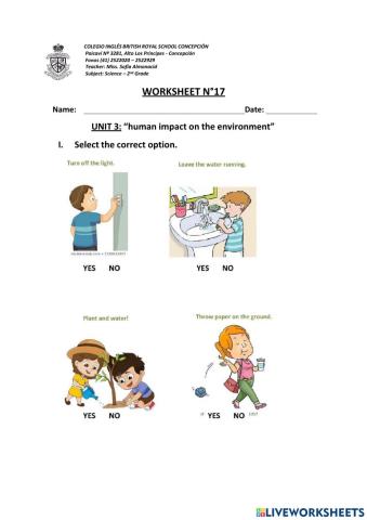 Worksheet review