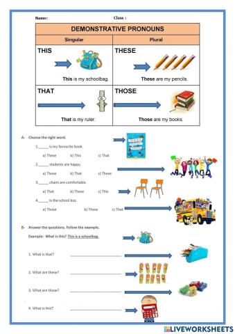 Demonstrative Pronouns