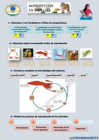 Reproducción de los animales