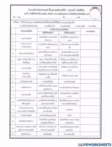 ใบงานที่4 ป.5.