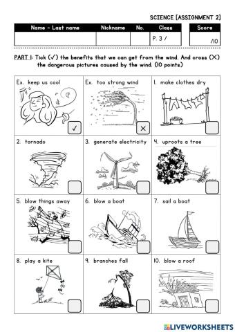 EIS P3 Science Worksheet2