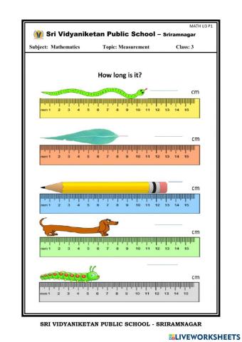 Live worksheet