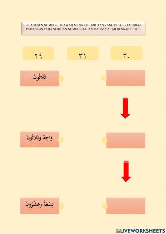 الأرقام ولأعداد