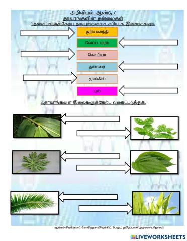 தாவரங்களின் தன்மைகள்