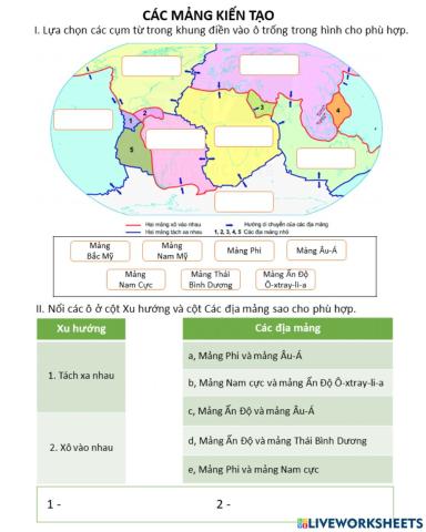 Các mảng kiến tạo