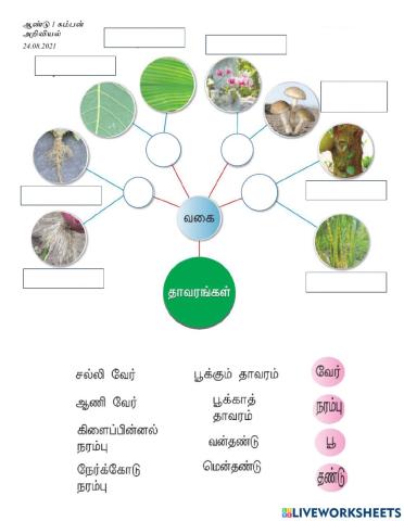 தாவரம் அறிவியல் ஆண்டு 1