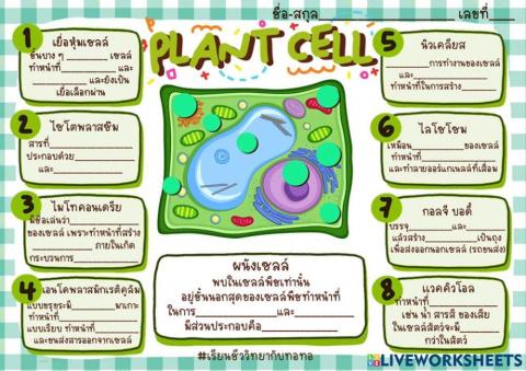 โครงสร้างและหน้าที่ของเซลล์พืช