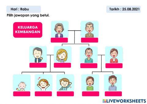 Mengenal Pasti Hierarki Dalam Keluarga Kembangan