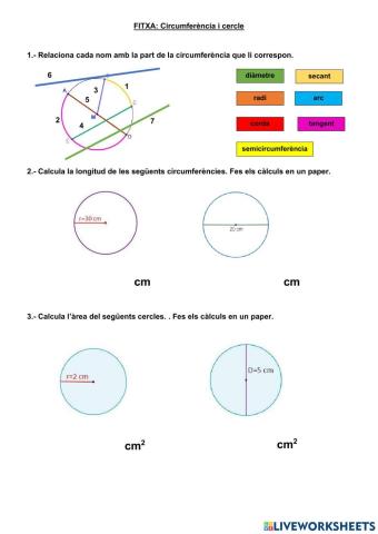 Circumferència i cercle