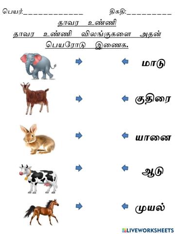 தாவர உண்ணி