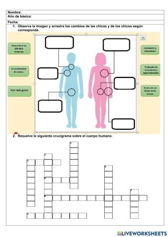 Evaluación Diagnostica