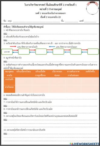 ระบบหายใจ2