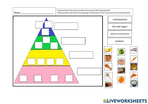 Food pyramid