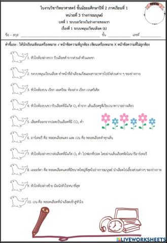 ระบบหมุนเวียนเลือด4