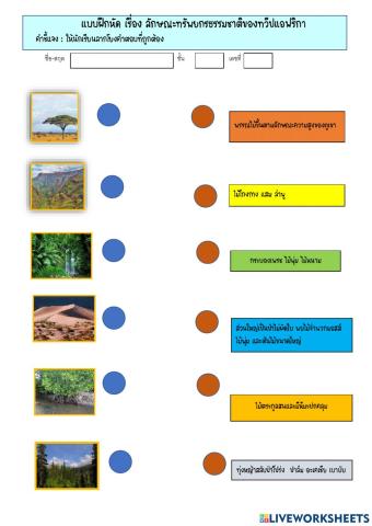 แบบฝึกโยงเส้น ลักษณะทรัพยากรธรรมชาติ แอฟริกา