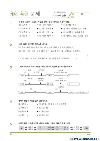 5.동물과 에너지 1.소화와 순환 (개념문제)