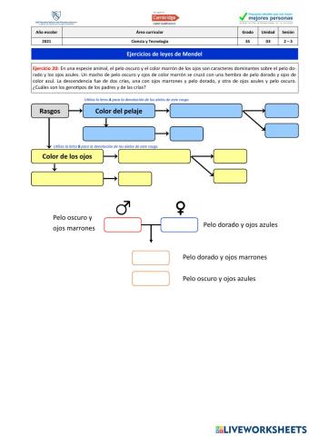 Ejercicio 20 - Leyes de Mendel