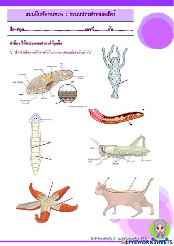 ระบบประสาทของสัตว์