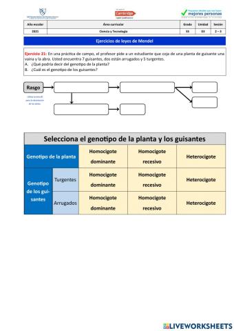 Ejercicio 21 - Leyes de Mendel