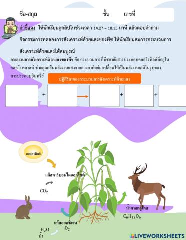 การสังเคราะห์ด้วยแสงของพืช ตอนที่ 4