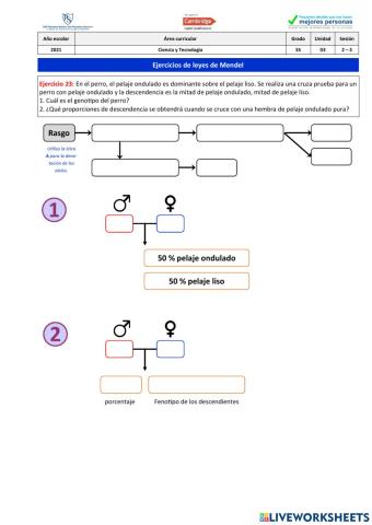 Ejercicio 23 - Leyes de Mendel