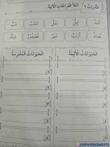 Bahasa arab-haiwan