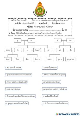 การถ่ายทอดลักษณะทางพันธุกรรมในครอบครัวป.5