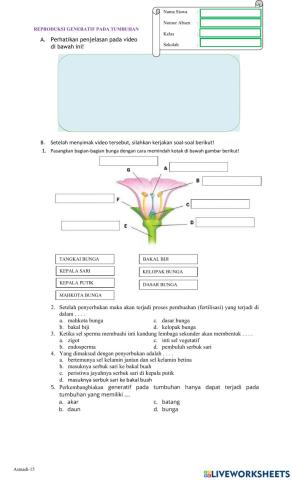 LKPD Perkembangbiakan Generatif Pada Tumbuhan