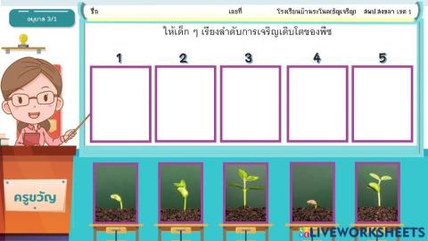 เรียงลำดับการเจริญเติบโตของต้นถั่วเขียว